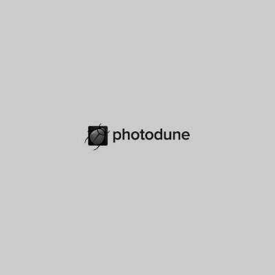 photodune-square.jpg